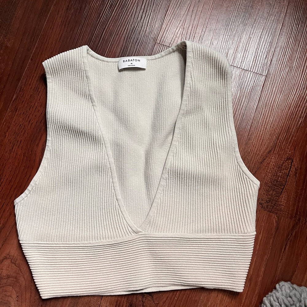 Aritzia Babaton Sculpt Knit Deep V-neck tank